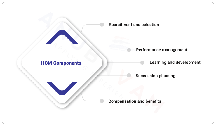 components of human capital management