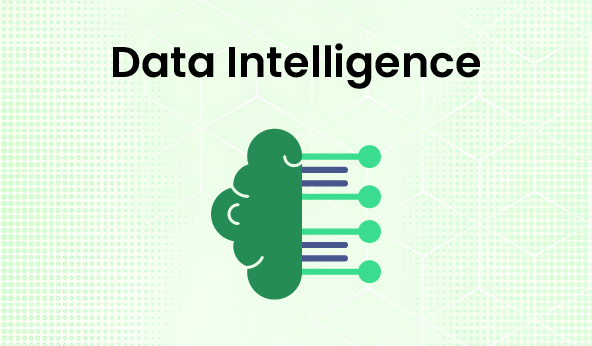  Data Intelligence
